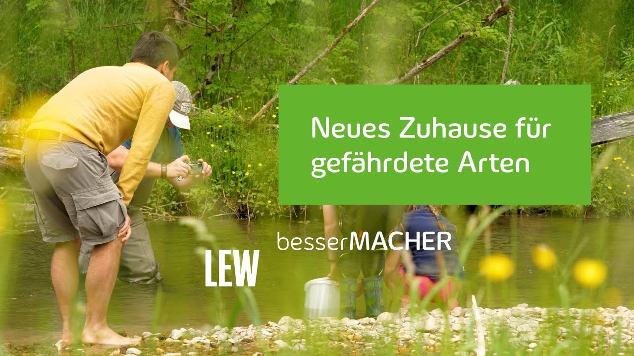 Fischereiverein Peiting e.V. - Peiting